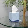 image:imageGenuine Joe Facial Tissue 79 x 75 2Ply 100 SheetsBox 30 CountWhite