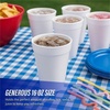image:imageGenuine Joe HotCold 12oz Foam Cups Pack of 100016oz
